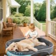 OhGeni-Orthopedic-Dog-Couch-Pet-Sofa-Large-Sized-Cat-Beds.jpg