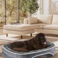 OhGeni-Orthopedic-Jumbo-Dog-Couch-Pet-Sofa-XXL-Sized-Cat.jpg
