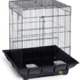 Prevue-Hendryx-SP850BB-Clean-Life-Cockatiel-Cage-Black-12.jpg