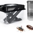 REPTI-ZOO-Reptile-Cricket-Keeper-Mixer-Combo-Kit-Reptile.jpg