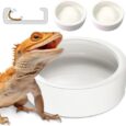 Reptile-Food-Dish-Bowl-Worm-Water-Dish-Small-275in-Lizard.jpg