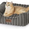 Small-Dog-Beds-for-Small-Dogs-Washable-Cat-Beds.jpg