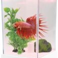 Smart-Small-Fish-Tank-Mini-Aquarium-with-RGB-Colors-Light.jpg