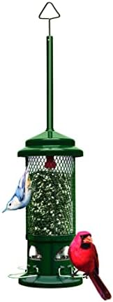 Squirrel Buster Standard Squirrel-proof Bird Feeder w/4 Metal Perches, 1.3-pound Seed Capacity, garden green