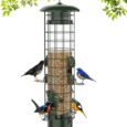 Squirrel-Proof-Bird-FeederMetal-Mesh-Bird-Feeders-for-Outdoors-HangingGravity.jpg