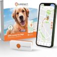Weenect-Dog-XS-New-GPS-Tracker-for-Dogs.jpg