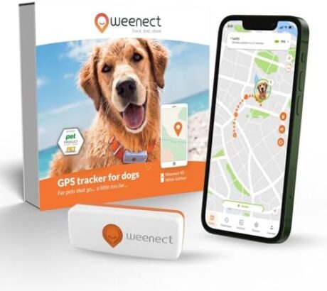 Weenect Dog XS - New GPS Tracker for Dogs | Real-time Mini GPS Tracker for Dogs | Waterproof | Smallest Model on The Market | Subscription Required