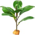 Woyrise-Reptile-Plants-for-Terrarium-9-Fake-Rubber-Tree-Ball.jpg