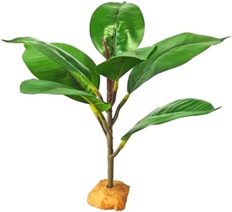 Woyrise Reptile Plants for Terrarium, 9" Fake Rubber Tree Ball Python Tank Accessories Habitat Decor fit Crested Gecko Leopard Bearded Dragon Lizard Chameleon Snake - Ficus Elastica Robusta