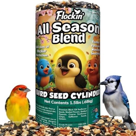 All Year Round Bird Seed Cylinders with Hole – All Season Wild Bird Food for Blue Jays, Cardinals, Doves, Finches & More – Balanced High Energy All Natural Blend, No Fillers – USA Made (4" x 7.75")