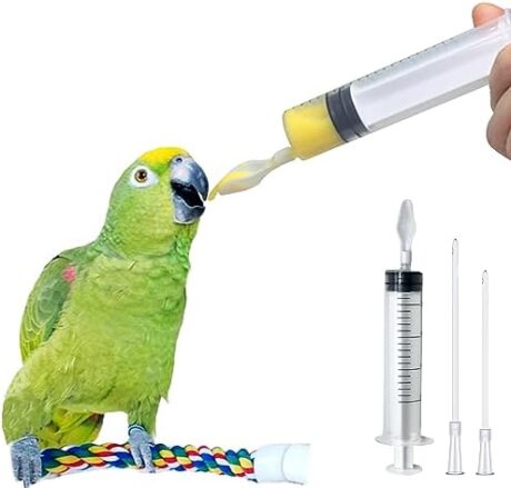Baby Bird Feeding Syringe,Parrot Small Pet,Manual Syringe Feeder, Milk Water,Liquid Food,Reusable,Syringe with Spoon Tip