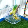 Bird-Bath-for-Cage-Clear-Birds-Bathtub-with-Hanging-Hooks.jpg
