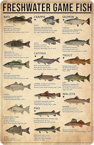 Boy's Fishing Gifts Vintage Fresh Water Gamefish Knowledge Tin Sign for Man Cave Boys Hunting Room Bedroom Lake House Cabin Wall Art Decor 8x12 Inch (3069)