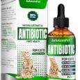 Cat-Antibiotic-for-Infections-UTIs-Respiratory-Moments-Cold-Allergies.jpg