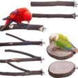 Deloky-8-PCS-Natural-Wood-Bird-Perch-Stand-Wooden-Parrot-Perch.jpg