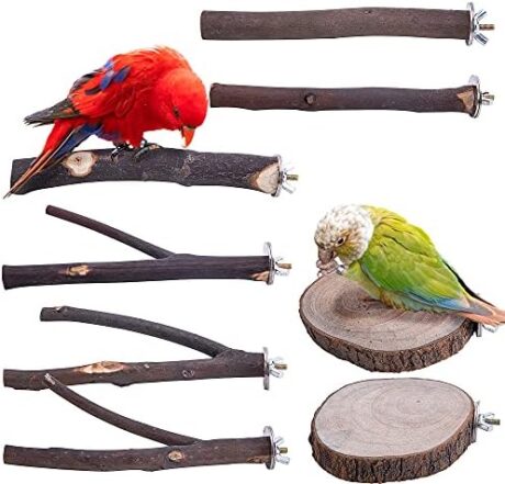Deloky 8 PCS Natural Wood Bird Perch Stand-Wooden Parrot Perch Stand-Perch Platform Cage Accessories for Parrotlets Budgies Cockatiels Parakeets Lovebirds