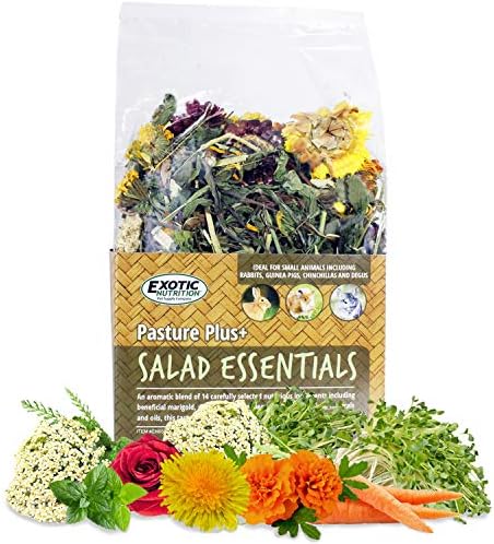 Exotic Nutrition Pasture Plus+ Salad Essentials - Healthy Natural High-Fiber Dried Flower & Herb Treat - Guinea Pigs, Rabbits, Chinchillas, Prairie Dogs, Degus, Hamsters, Gerbils & Other Small Pets