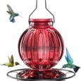 Glass-Hummingbird-Feeder-for-Outdoors-Hanging-26Oz-Bird-Nectar-Feeder.jpg