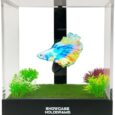 Hologram-Fish-Tank-Holographic-Aquarium-with-Moving-Fish.jpg