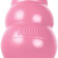 KONG-Puppy-Toy-Natural-Teething-Rubber-Fun-to.jpg