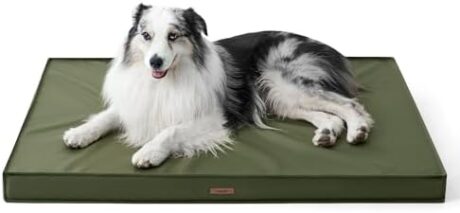 LE SURE Outdoor Waterproof Dog Beds Large Sized Dog, Orthopedic Egg Crate Foam Pet Bed with Oxford Fabric Surface and Removable Washable Cover, Pet Mat 36''x27'', Green