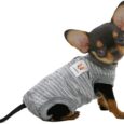 LOPHIPETS-Girl-Dog-Shirts-Pajamas-Fits-05-12-lbs.jpg