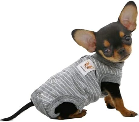 LOPHIPETS Girl Dog Shirts Pajamas - Fits 0.5-1.2 lbs - Young Chihuahuas & Teacup Puppies - Gray Stripes/XXS 【Tiny Size - Choose Cautiously】