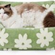 Lesure-Cute-Dog-Bed-for-Small-Dogs-Cats-Washable.jpg
