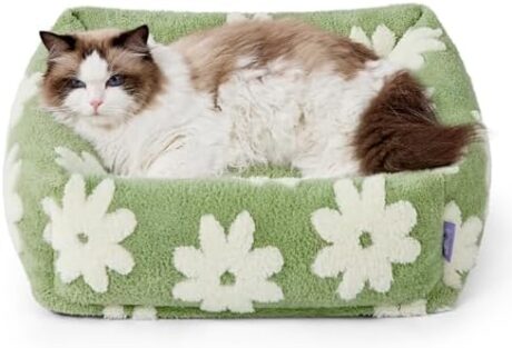 Lesure Cute Dog Bed for Small Dogs & Cats- Washable Puppy Beds,Cozy Rectangle Orthopedic Pet Sofa with Jacquard Shaggy Plush & Anti Slip Bottom,20x19x6inches