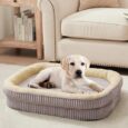 Orthopedic-Dog-Bed-for-Medium-Dogs-Breeds-High-Density-Egg.jpg
