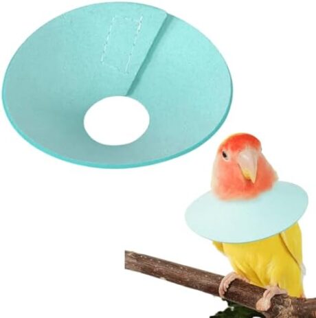Pet Cockatiel Anti-Plucking Collar Wound Healing Collar for Budgie Grooming Collar Neck Bird Supply Finch Collar Parrot Collars for Feather Plucking Lovebird Collars to Stop Biting (L)