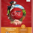 Purina-ONE-Chicken-and-Rice-Formula-Dry-Dog-Food.jpg