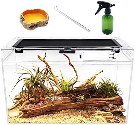 Reptile Terrarium,16" x 8"x 10" Reptile Tank with Full View Visually Appealing，for Insect，Fish，Tarantula，Hermit Crab，Jumping Spider，Iguana，Tortoise，Leopard Gecko，Frog，Bearded Dragon