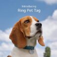 Ring-Pet-Tag-Easy-to-use-tag-with-QR-code.jpg