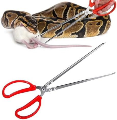 Snake Feeding Tongs,15 Inch Reptile Feeding Tongs,Extra Long Large Tweezers for Corn Ball Python Accessories,Bearded Dragon Tank Accessories,Pet Terrarium Supplies for Leopard Crested Gecko,Lizard