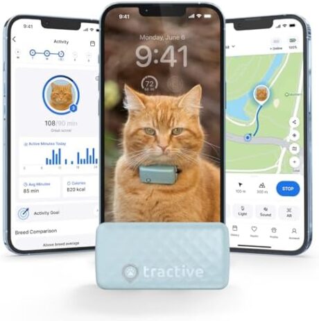 Tractive Smart Cat GPS Tracker | Real-Time Location & Wellness Monitoring for Cats 6.5 lbs+ | Territory & Location History | Up to 5-Day Battery | Breakaway Collar Included (Mint)