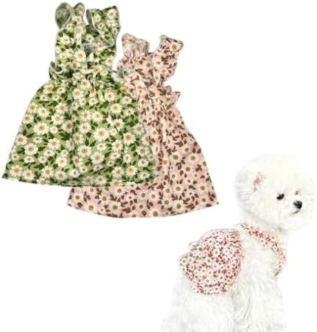 2Pcs Floral Dog Dress for Small Dog Girl Chihuahua Yorkies Princess Dress Summer Skirt for Puppy Kitten, Floral, L