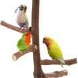 Bird-Perch-Stand-Toy-Natural-Grapevine-Wood-Parrot-Perch-Bird.jpg