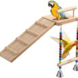 Bird-Perches-Platform-Swing-with-Climbing-LadderBird-Wooden-PlaygroundBird-Swing.jpg