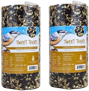 Birdseed Cylinders with Hole - Bird Seed for Outside Wild Birds (Small Cylinder, Tweet Treats 2pc)