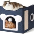Cat-Houses-for-Indoor-Cats-Large-Cat-Cave-with-Fluffy.jpg
