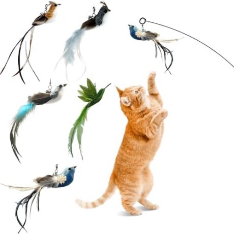 Deluxe Bird Replacement Heads for Cat Toys - Set of 5 - Realistic Feather Designs Including Blue Floral, Two-Tone, Traditional, Black & White, Green Hummingbird - Easy Clip-On