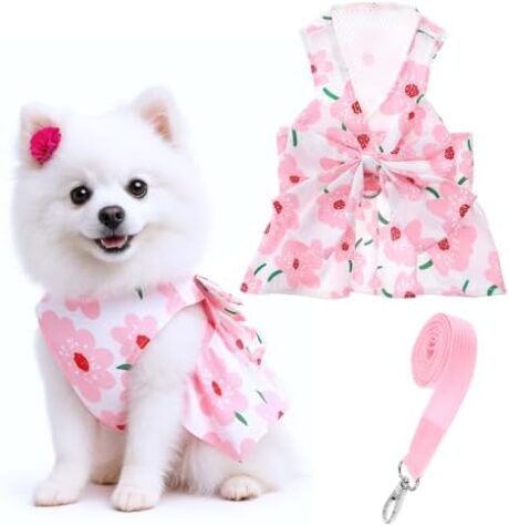Dog Dresses for Small Dogs Girls, Floral Print Puppy Clothes Bowknot Harness Dress Doggy Princess Spring Summer Breathable Female Pet Skirts Outfits with Collar Leash Attachment(Pink, S)