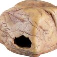 Exo-Terra-Gecko-Cave-for-Reptiles-and-Amphibians-Reptile-Hideout.jpg