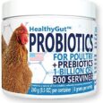 HealthyGut-Probiotics-for-Chickens-Poultry-All-Natural-Digestive-System-Dietary.jpg