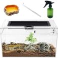 Mini-Reptile-Terrarium-Set12-x-7x-6-Low-Reptile-Tank.jpg
