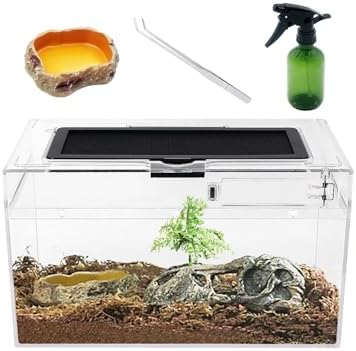 Mini Reptile Terrarium Set,12" x 7"x 6" Low Reptile Tank with Full View Visually Appealing，for Insect，Fish，Tarantula，Hermit Crab，Jumping Spider，Iguana，Tortoise，Leopard Gecko，Frog，Bearded Dragon