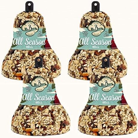 Mr. Bird All Season Fruit & Nut Wild Bird Seed Bell 14 oz.