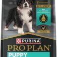 Purina-Pro-Plan-High-Protein-Dry-Puppy-Food-Chicken-and.jpg