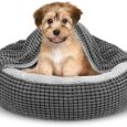 SIWA-MARY-Small-Dog-Bed-with-Attached-Blanket-Cozy-Donut.jpg